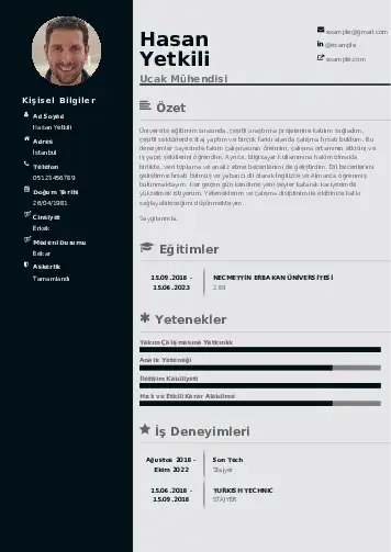 Havacılık Ve Uzay Uçak Mühendisi Cv Örnekleri cv indir